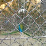 20110611164817 20110611164817.jpg