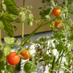 20111012102555 20111012102555.jpg