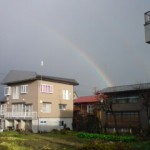 20111204081506 20111204081506.jpg