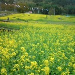 20120504120935.jpg