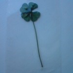 20120601171300 20120601171300.jpg