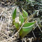 20130306121052 20130306121052.jpg