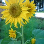 20130913152735 20130913152735.jpg