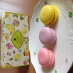 IMG_1728 IMG_1728.JPG